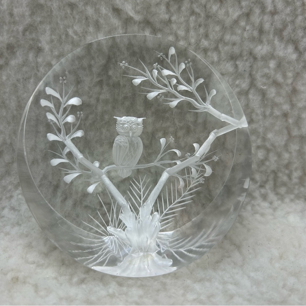 Reverse sketched 3-D carved etching owl on branch acrylic lucite paper weight 3"